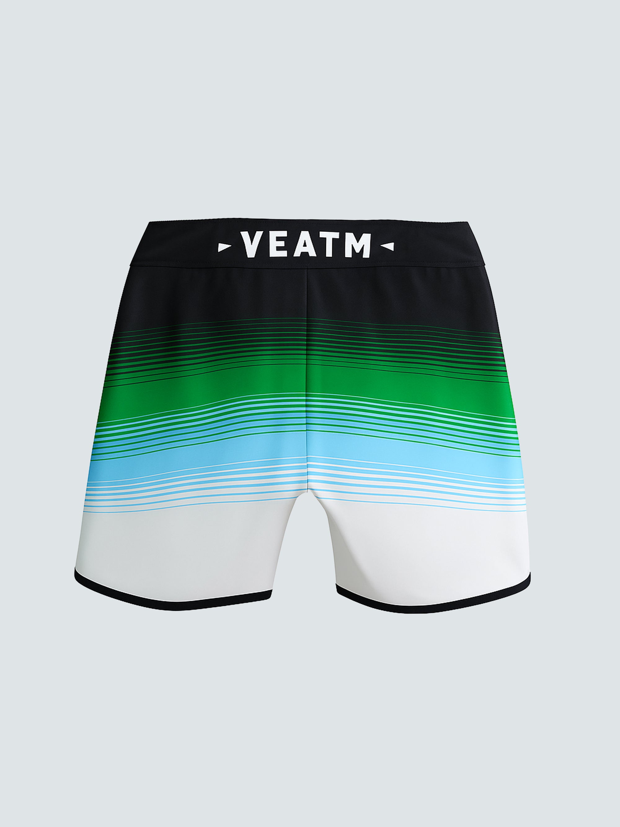 LINE GRADIENT SURF SHORTS