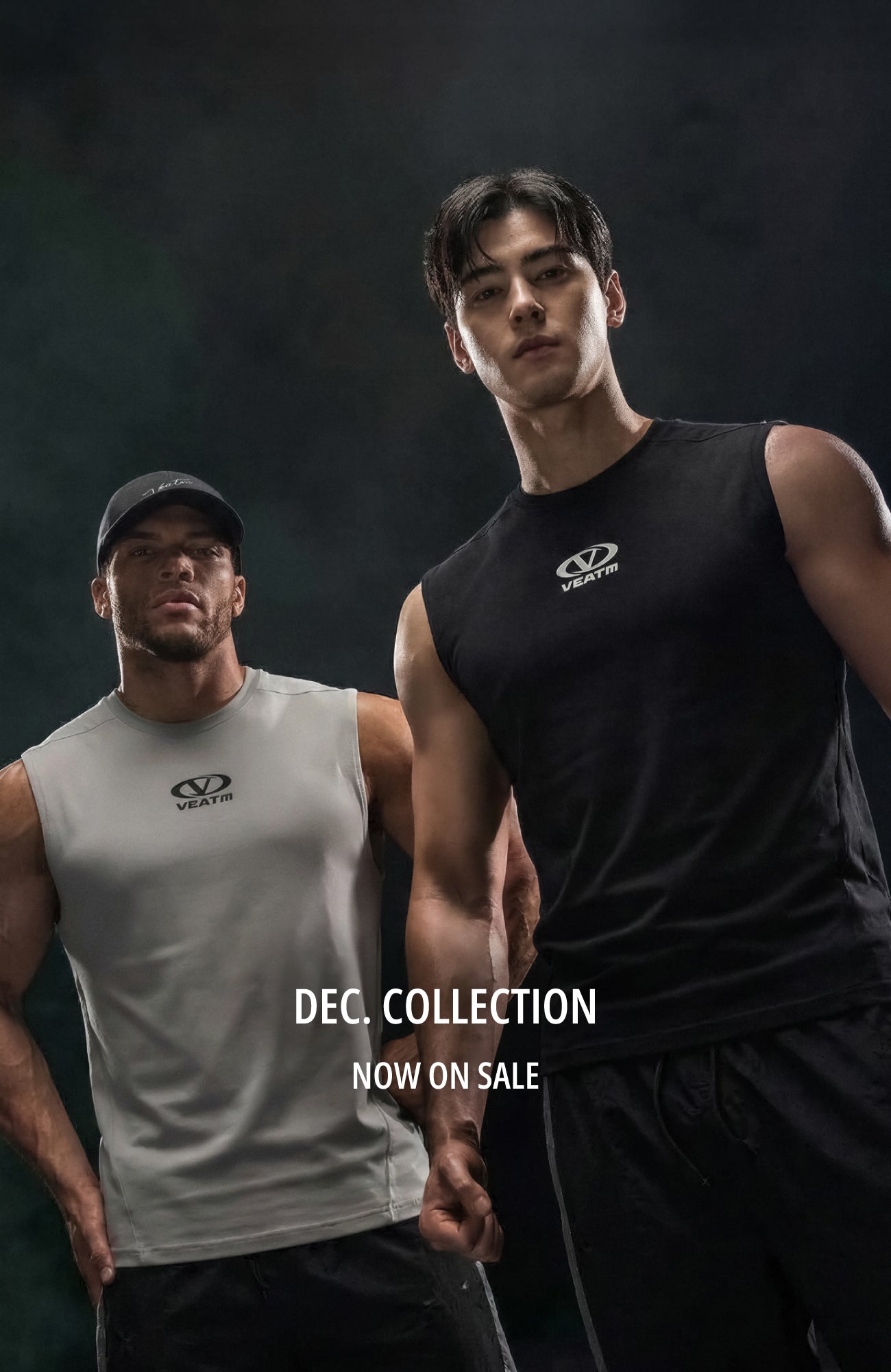 veatm セットアップ SET UP